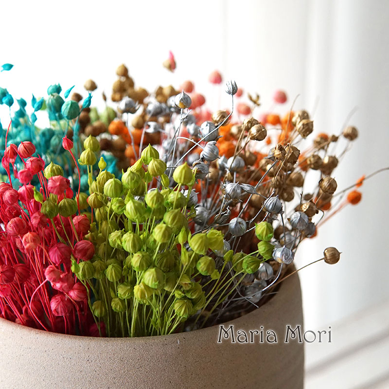 Dried Flower Bulk - 5G Bảo Quản Lanh Đậu Tự