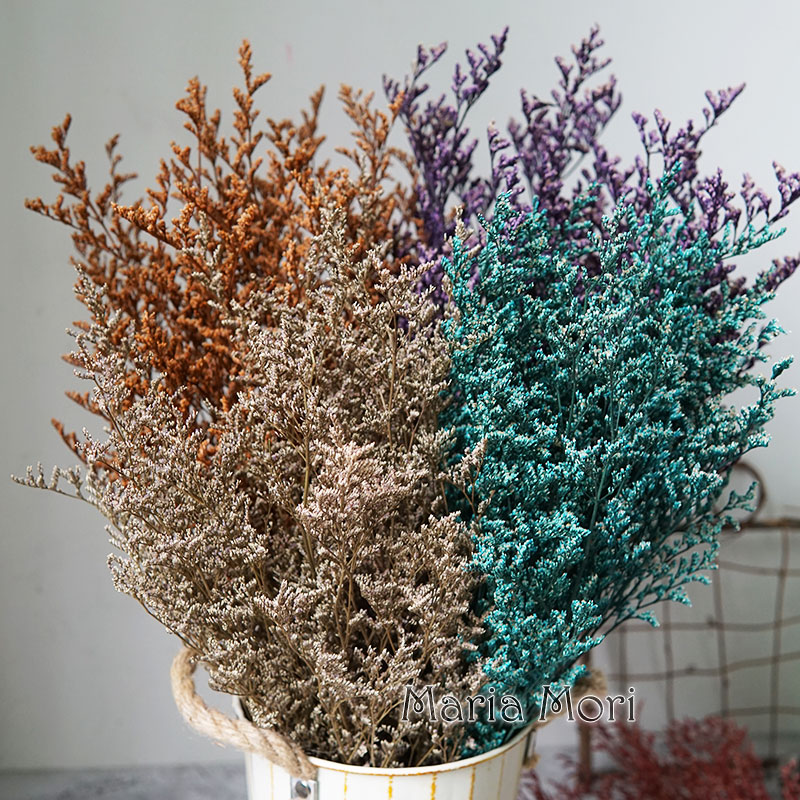 Dried Flower Bulk - INS Phổ Biến Được Bảo Quản