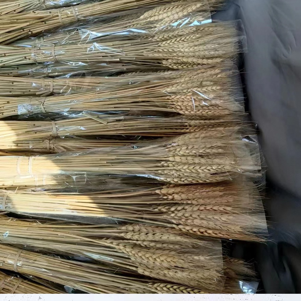 50pcs Artificial Flower Natura - đánh giá và giá Dried Flower Bulk