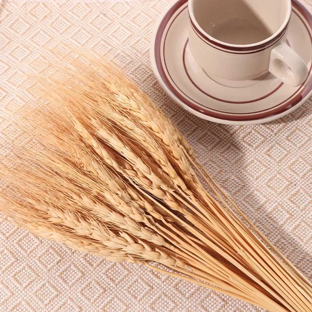 50pcs Artificial Flower Natura - đánh giá và giá Dried Flower Bulk