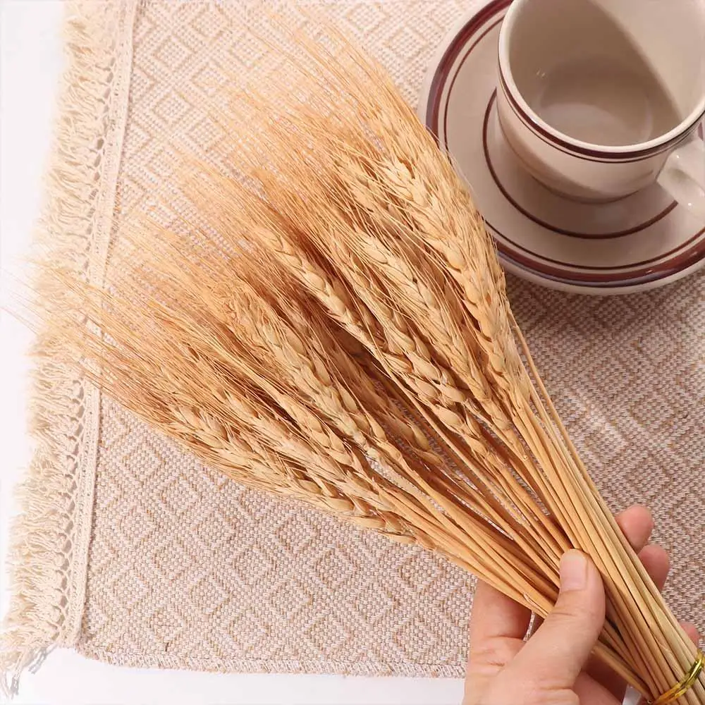 50pcs Artificial Flower Natura - đánh giá và giá Dried Flower Bulk
