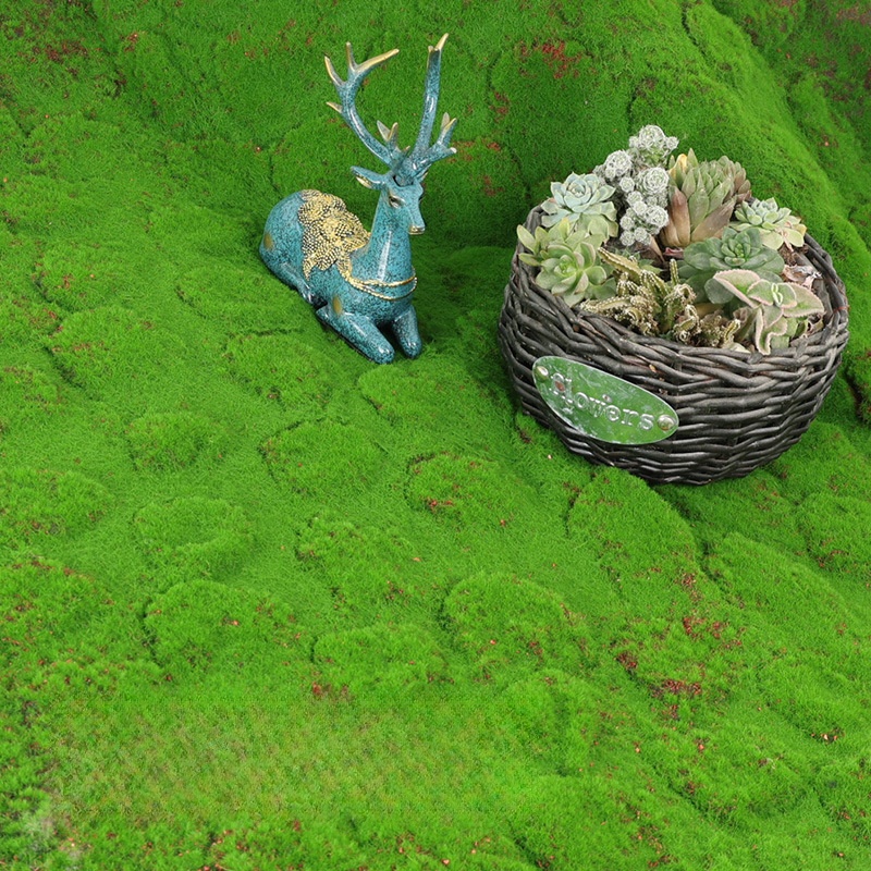 Artificial Turf Moss Simulatio - đánh giá và giá Terrarium Moss Art