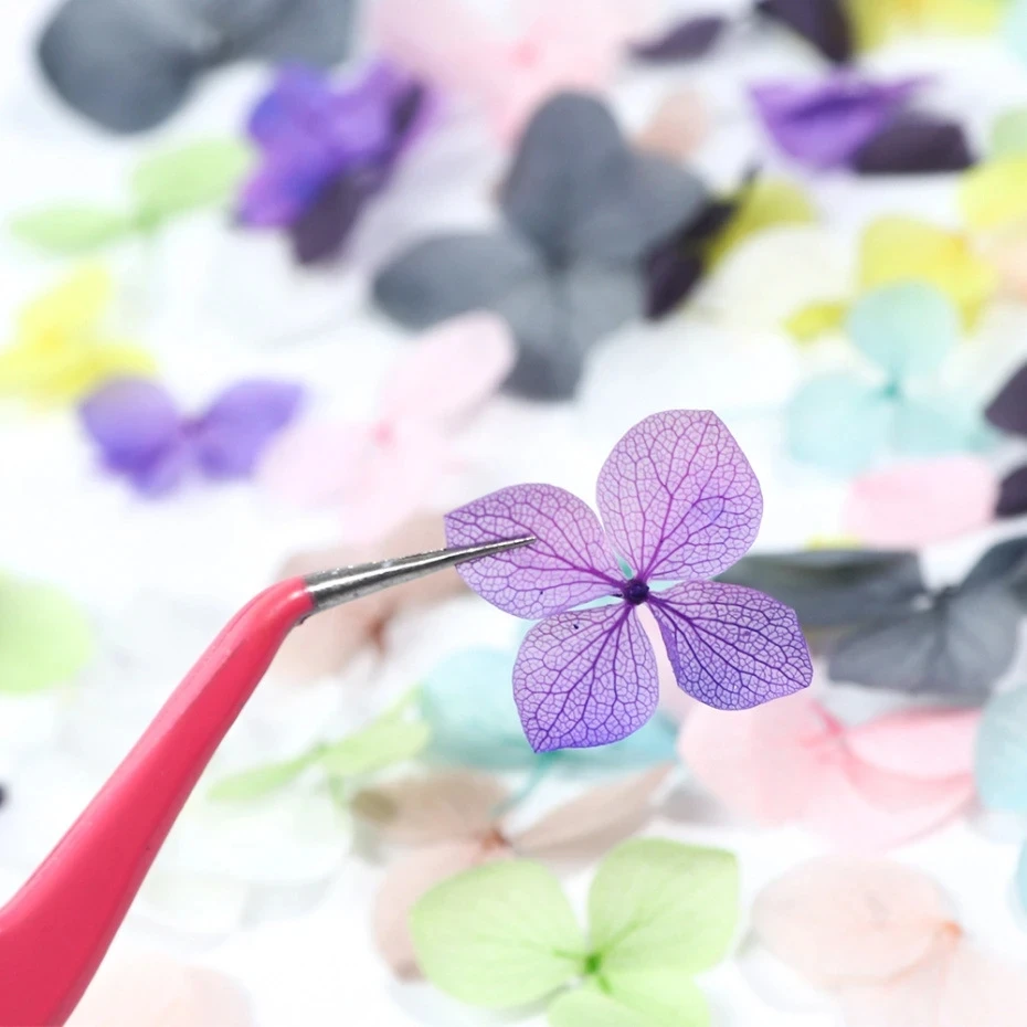 1Box Real Dried Flower Nail De - đánh giá và giá Dried Flower Bulk
