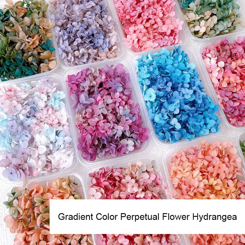 1Box Real Dried Flower Nail De - đánh giá và giá Dried Flower Bulk