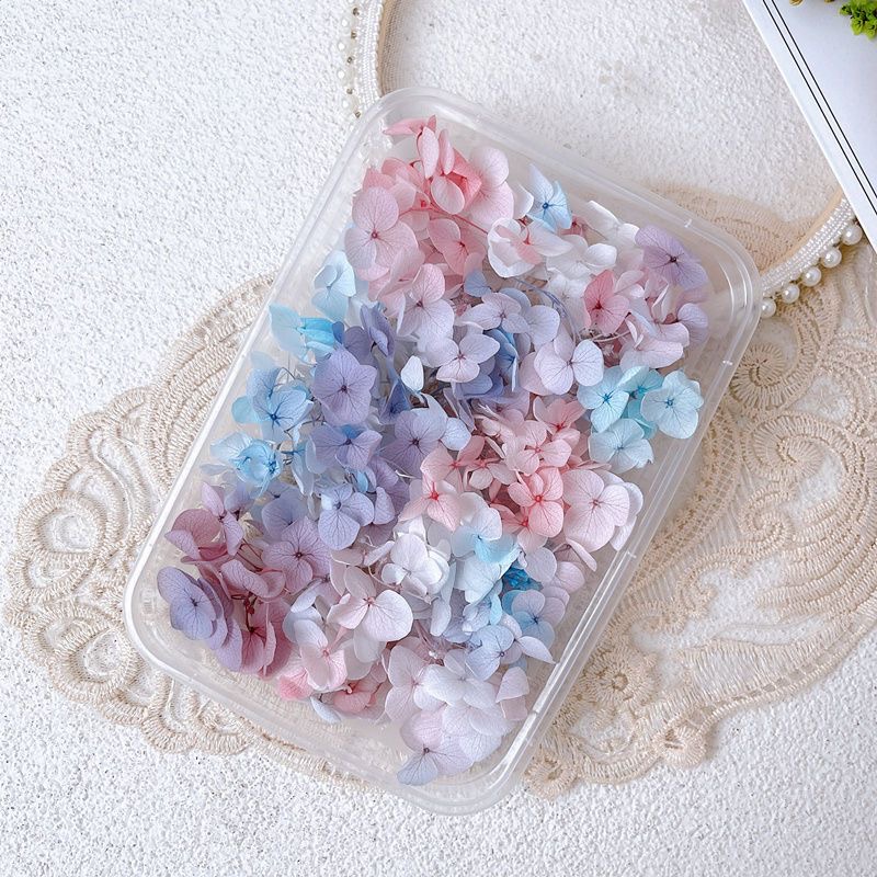 1Box Real Dried Flower Nail De - đánh giá và giá Dried Flower Bulk