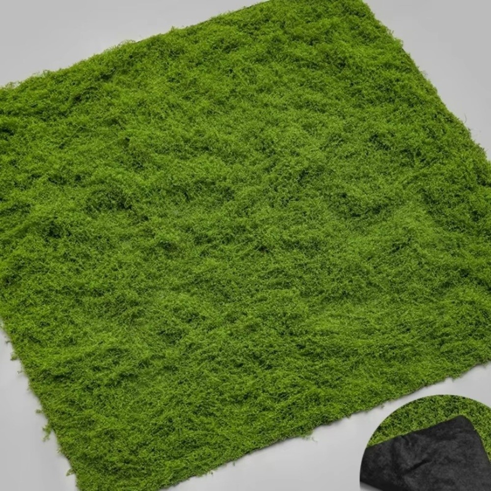 DIY Artificial Grass Rug Durab - đánh giá và giá Terrarium Moss Art