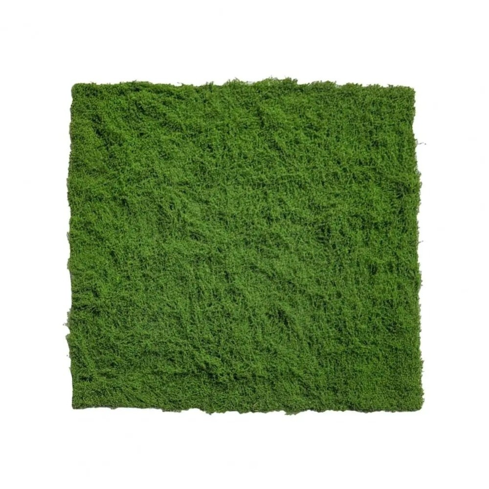 DIY Artificial Grass Rug Durab - đánh giá và giá Terrarium Moss Art