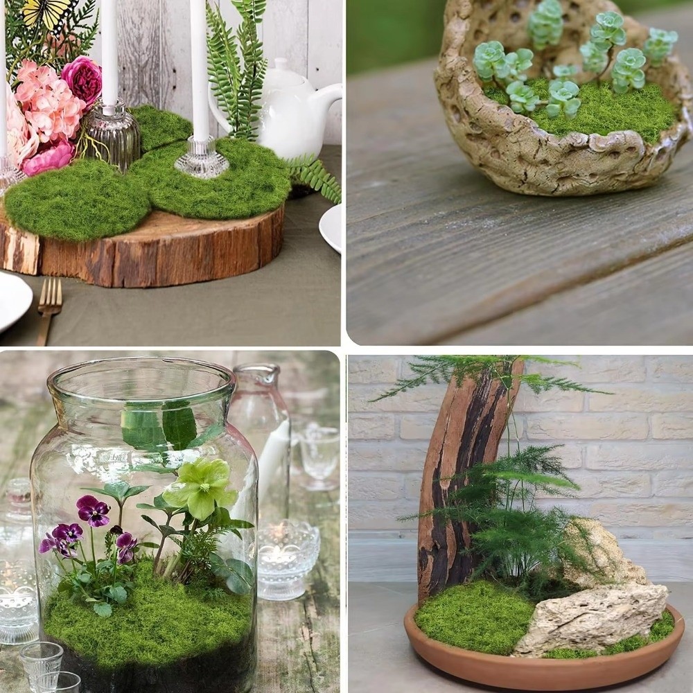 DIY Artificial Grass Rug Durab - đánh giá và giá Terrarium Moss Art