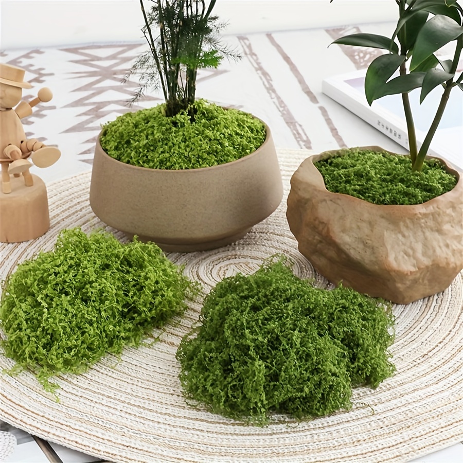 1pack Artificial Fake Moss, 1. - đánh giá và giá Terrarium Moss Art