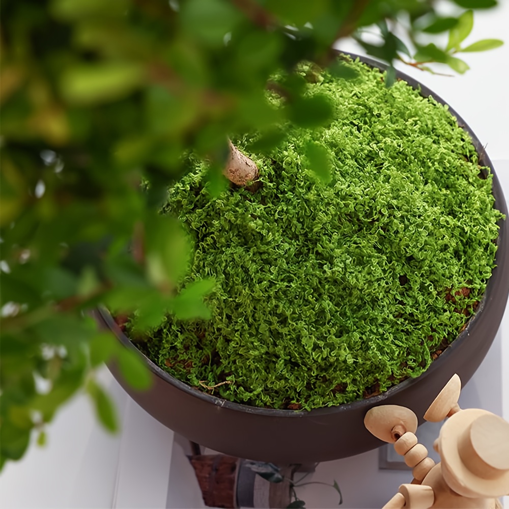 1pack Artificial Fake Moss, 1. - đánh giá và giá Terrarium Moss Art