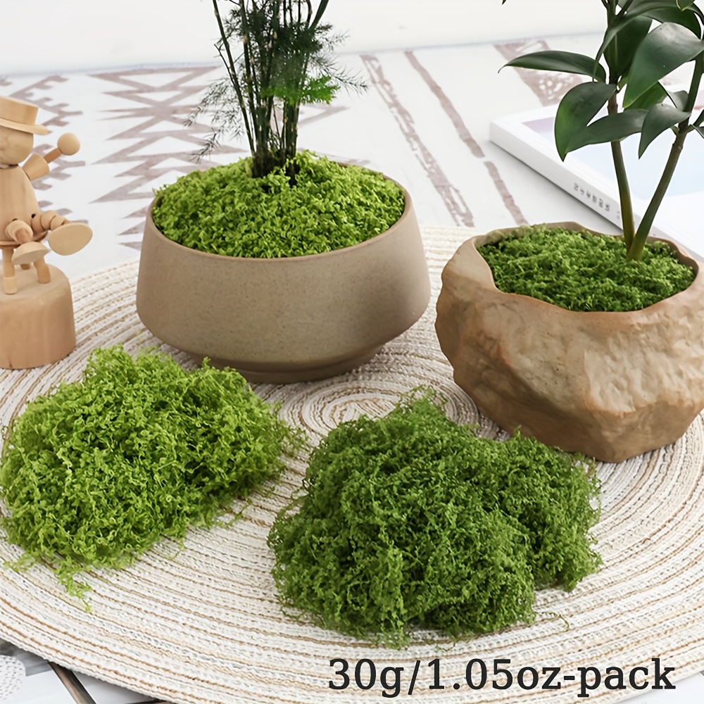 1pack Artificial Fake Moss, 1. - đánh giá và giá Terrarium Moss Art