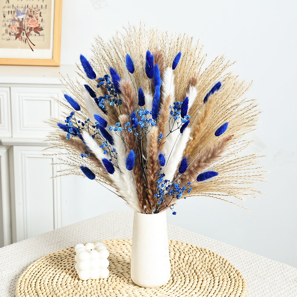 70 Stem Blue Fluffly Rabbit Ta - đánh giá và giá Dried Flower Bulk