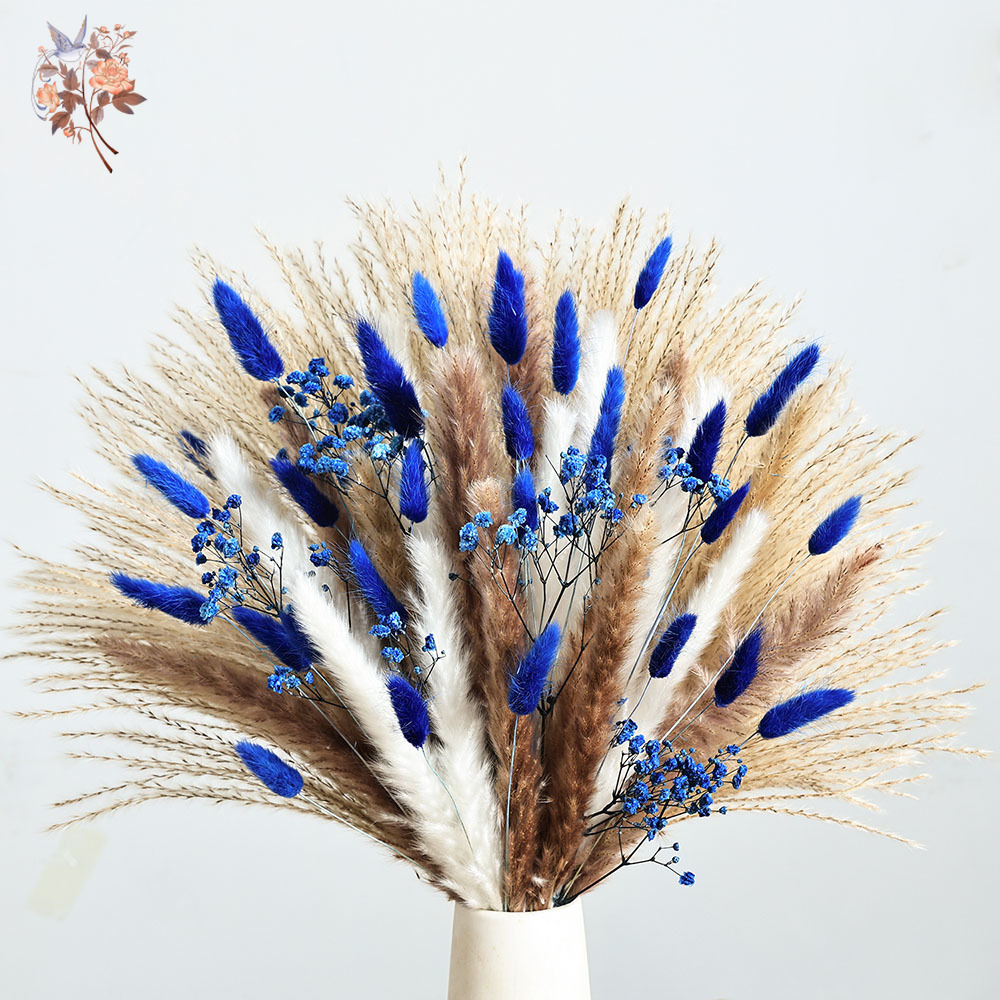 70 Stem Blue Fluffly Rabbit Ta - đánh giá và giá Dried Flower Bulk