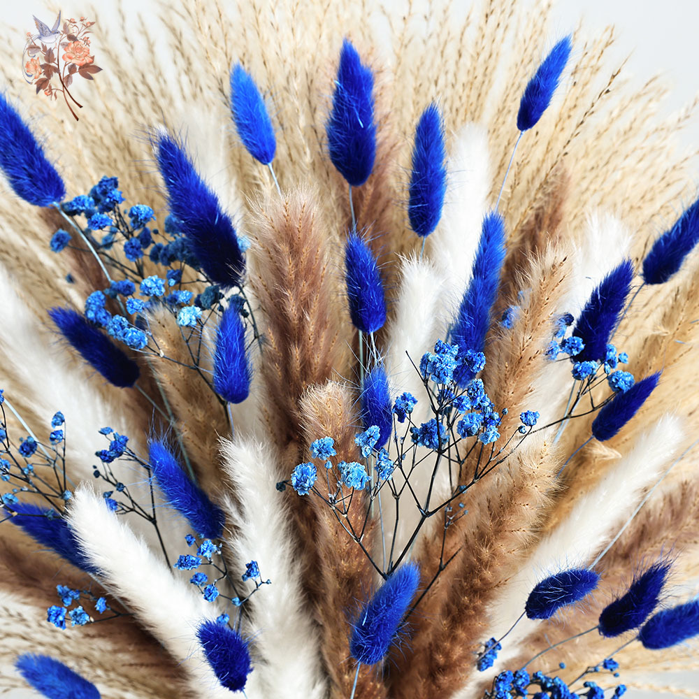 70 Stem Blue Fluffly Rabbit Ta - đánh giá và giá Dried Flower Bulk