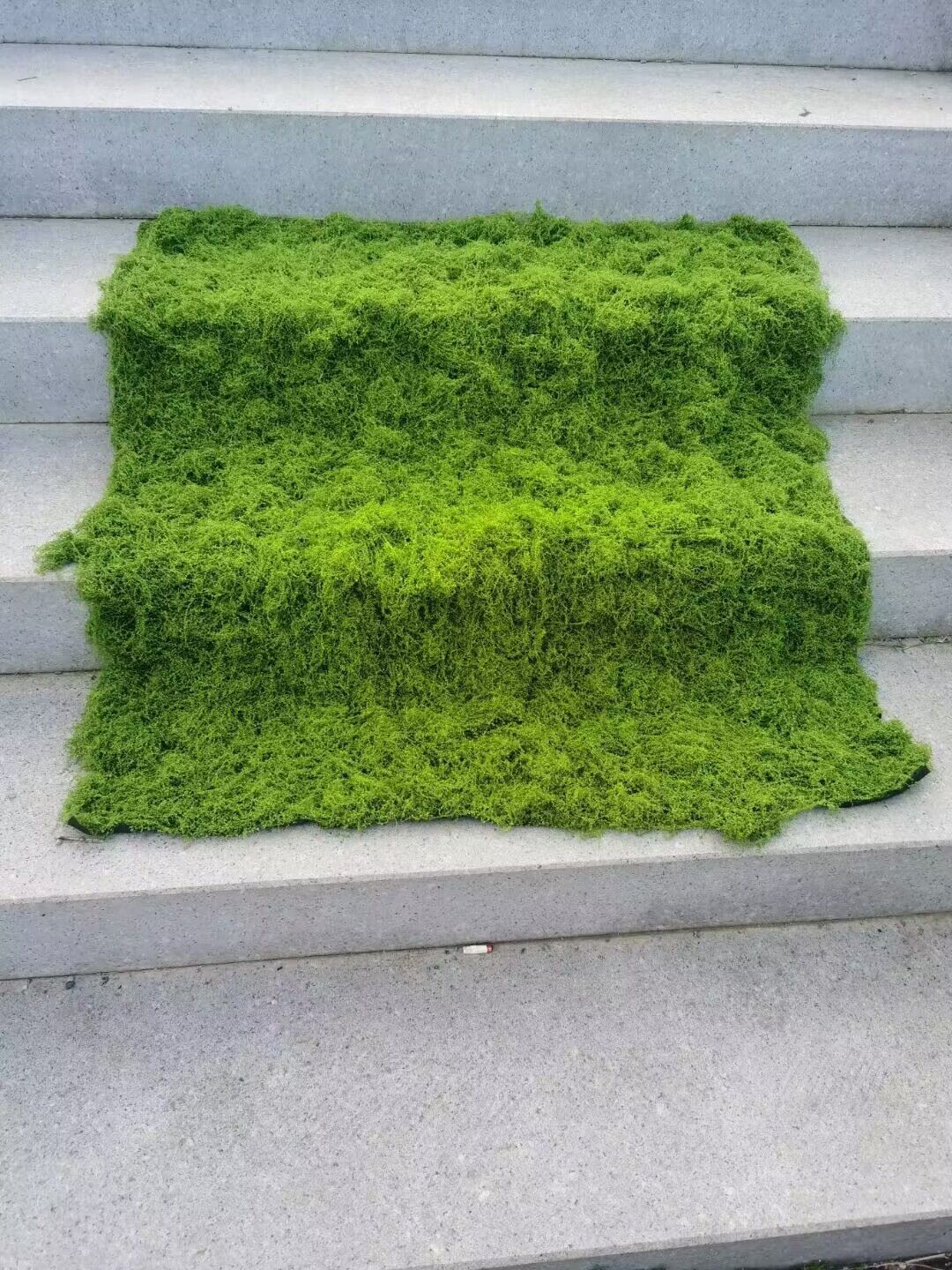 Aqumotic Artificial Turf Simul - đánh giá và giá Terrarium Moss Art