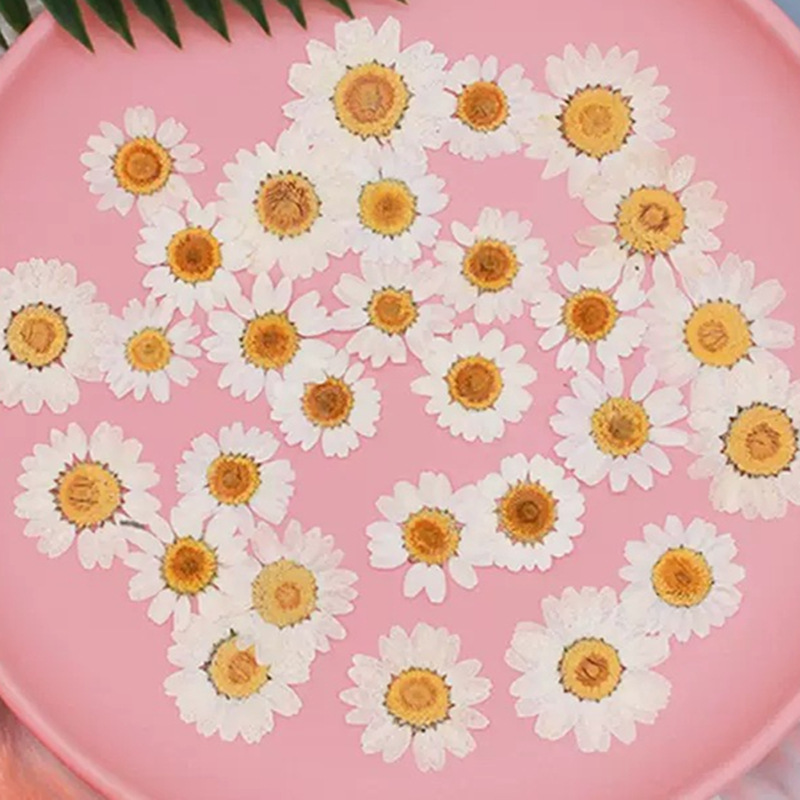 100Pcs Natural White Crystal C - đánh giá và giá Resin Craft Ideas