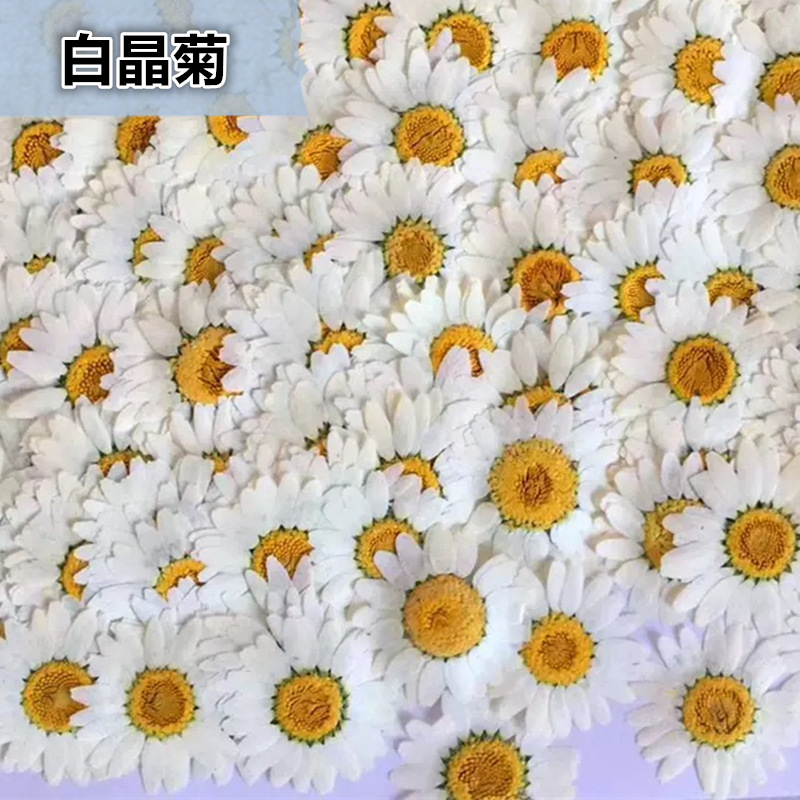 100Pcs Natural White Crystal C - đánh giá và giá Resin Craft Ideas