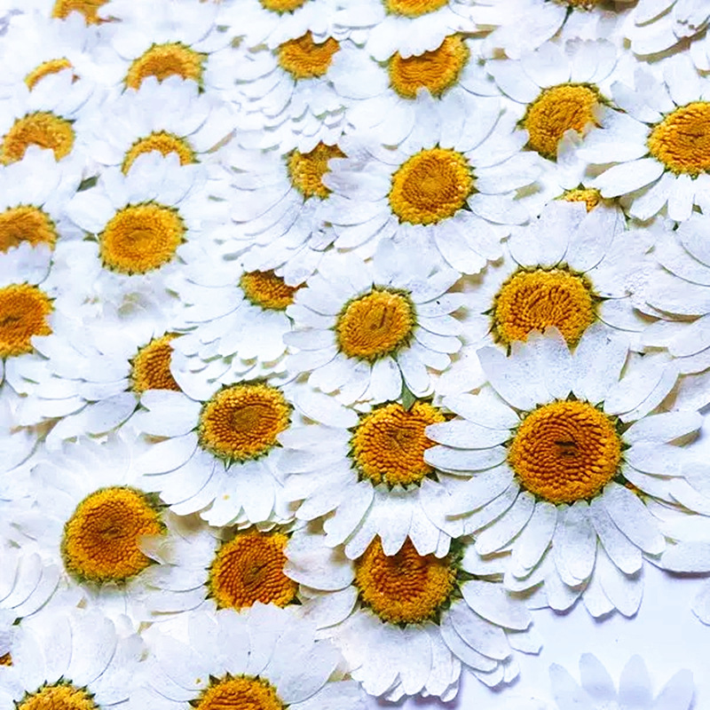 100Pcs Natural White Crystal C - đánh giá và giá Resin Craft Ideas