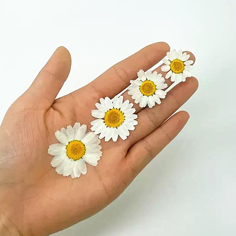 100Pcs Natural White Crystal C - đánh giá và giá Resin Craft Ideas