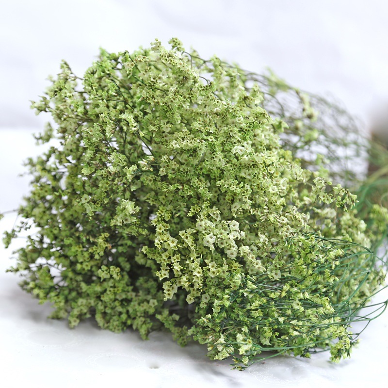 Natural Fresh Dried Preserved  - đánh giá và giá Dried Flower Bulk