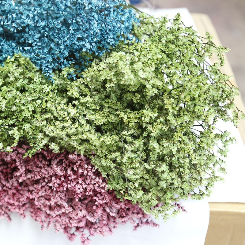Natural Fresh Dried Preserved  - đánh giá và giá Dried Flower Bulk