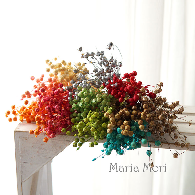 5G Bảo Quản Lanh Đậu Tự Nhiên  - đánh giá và giá Dried Flower Bulk