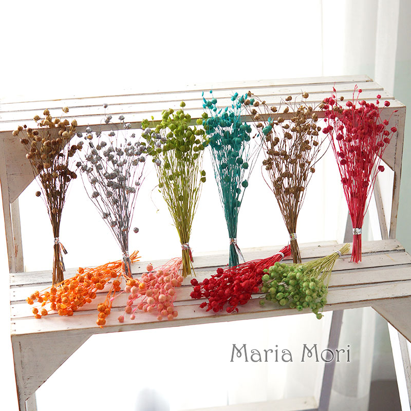 5G Bảo Quản Lanh Đậu Tự Nhiên  - đánh giá và giá Dried Flower Bulk