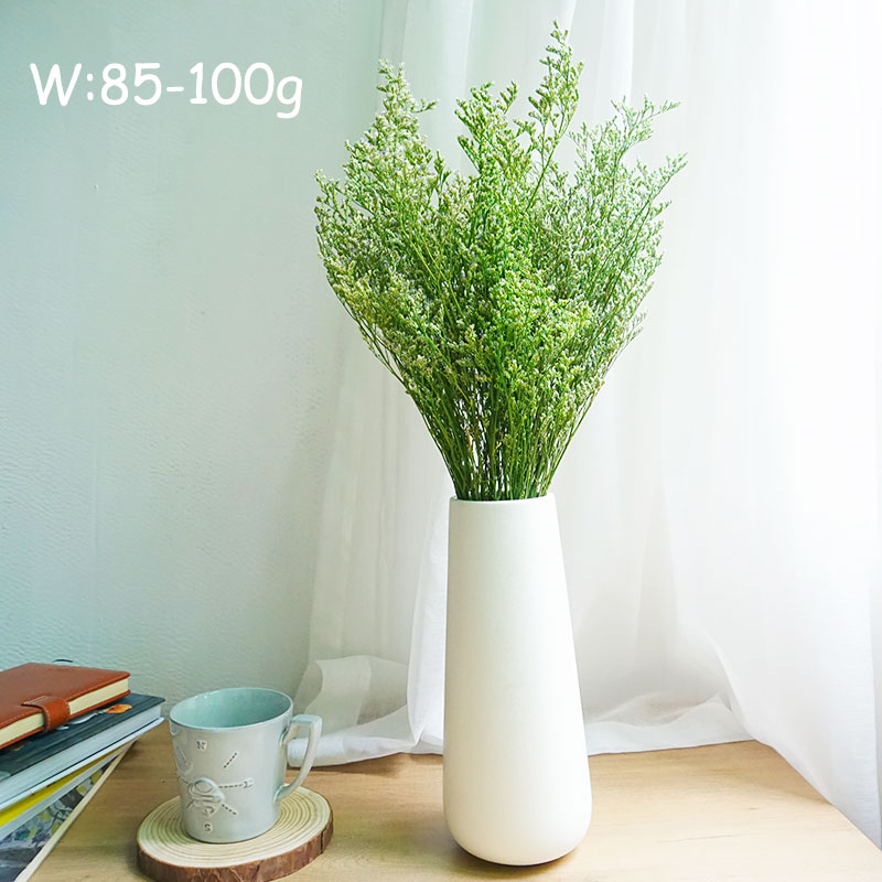 INS Phổ Biến Được Bảo Quản Lễ  - đánh giá và giá Dried Flower Bulk