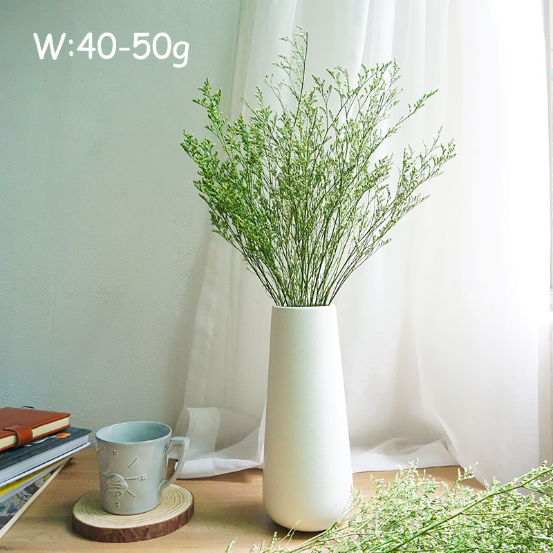 INS Phổ Biến Được Bảo Quản Lễ  - đánh giá và giá Dried Flower Bulk
