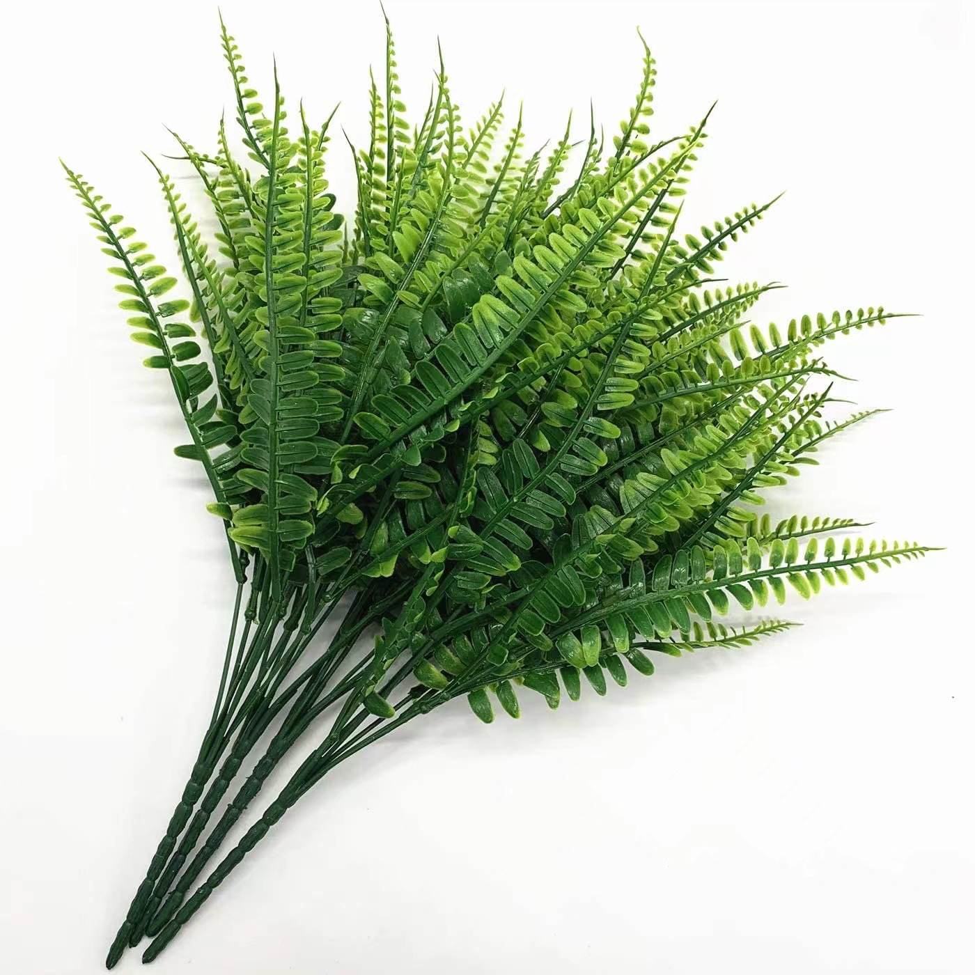 Artificial Persian Ferns Flowe - đánh giá và giá Terrarium Moss Art