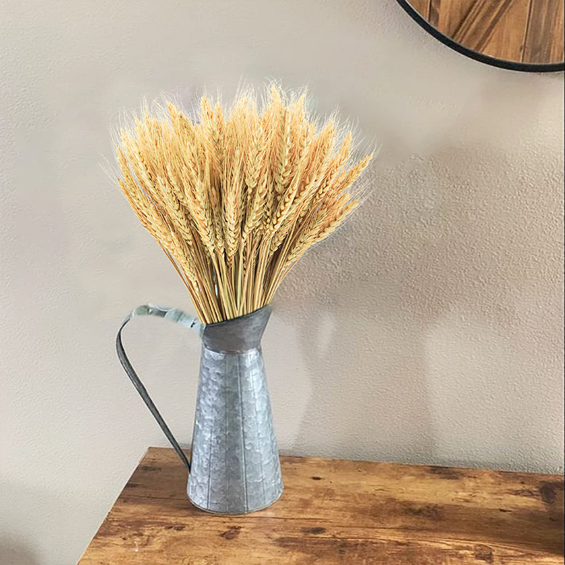 50/100/200PCS Dried Wheat Stal - đánh giá và giá Dried Flower Bulk