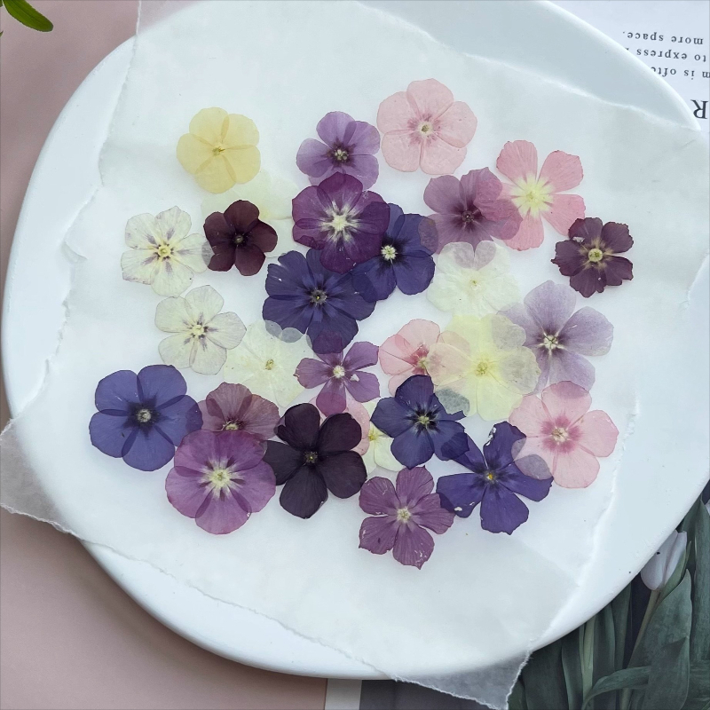 12pcs,Semi-Transparent Niche P - đánh giá và giá Resin Craft Ideas