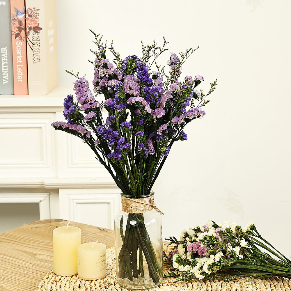 100g Natural Real Forget-me-no - đánh giá và giá Dried Flower Bulk