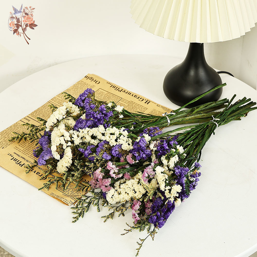 100g Natural Real Forget-me-no - đánh giá và giá Dried Flower Bulk