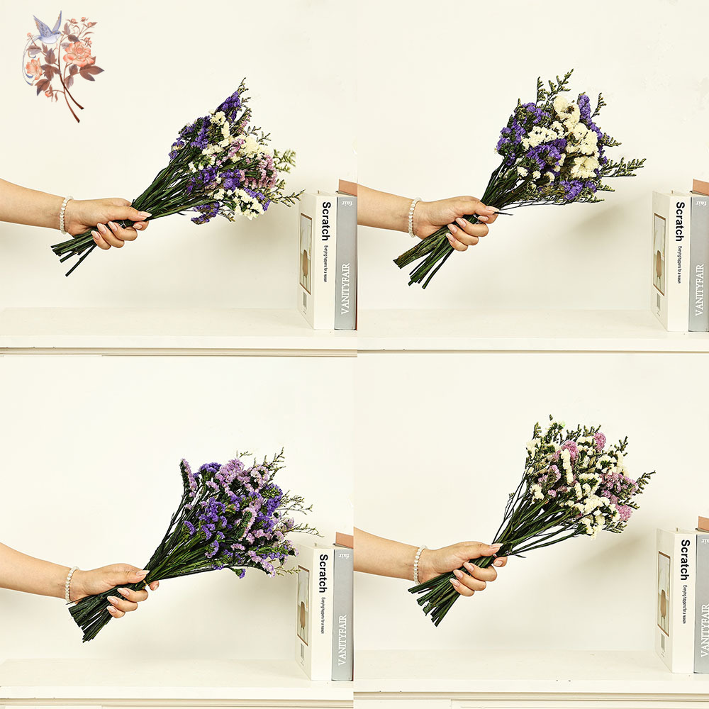 100g Natural Real Forget-me-no - đánh giá và giá Dried Flower Bulk