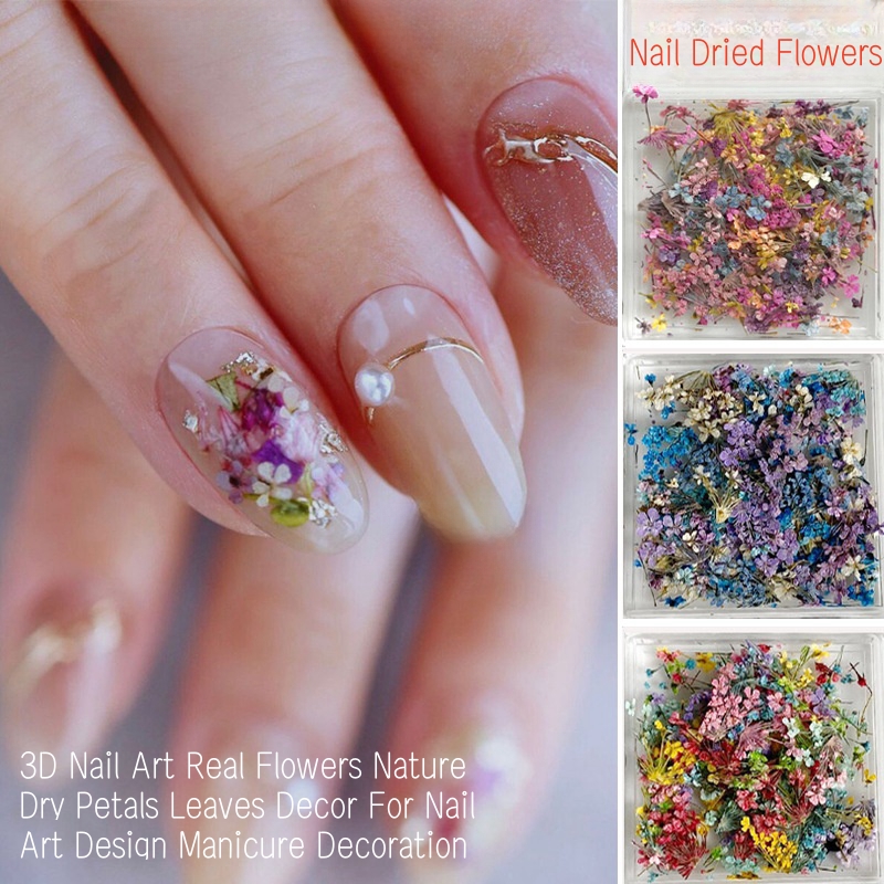 Mixed Small Dried Flowers Nail - đánh giá và giá Dried Flower Bulk
