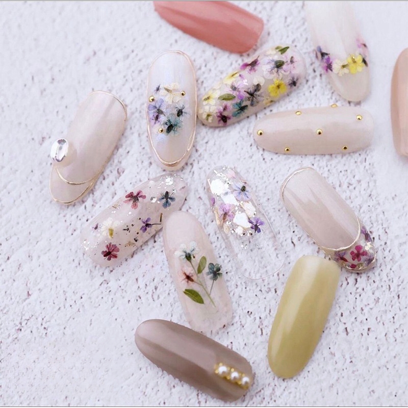 Mixed Small Dried Flowers Nail - đánh giá và giá Dried Flower Bulk