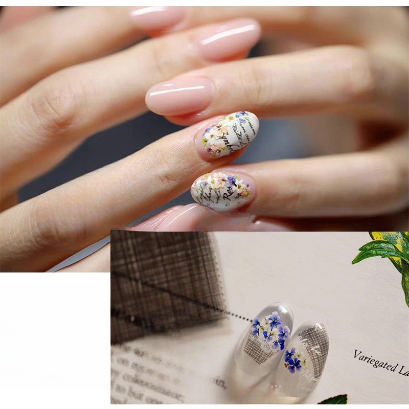Mixed Small Dried Flowers Nail - đánh giá và giá Dried Flower Bulk