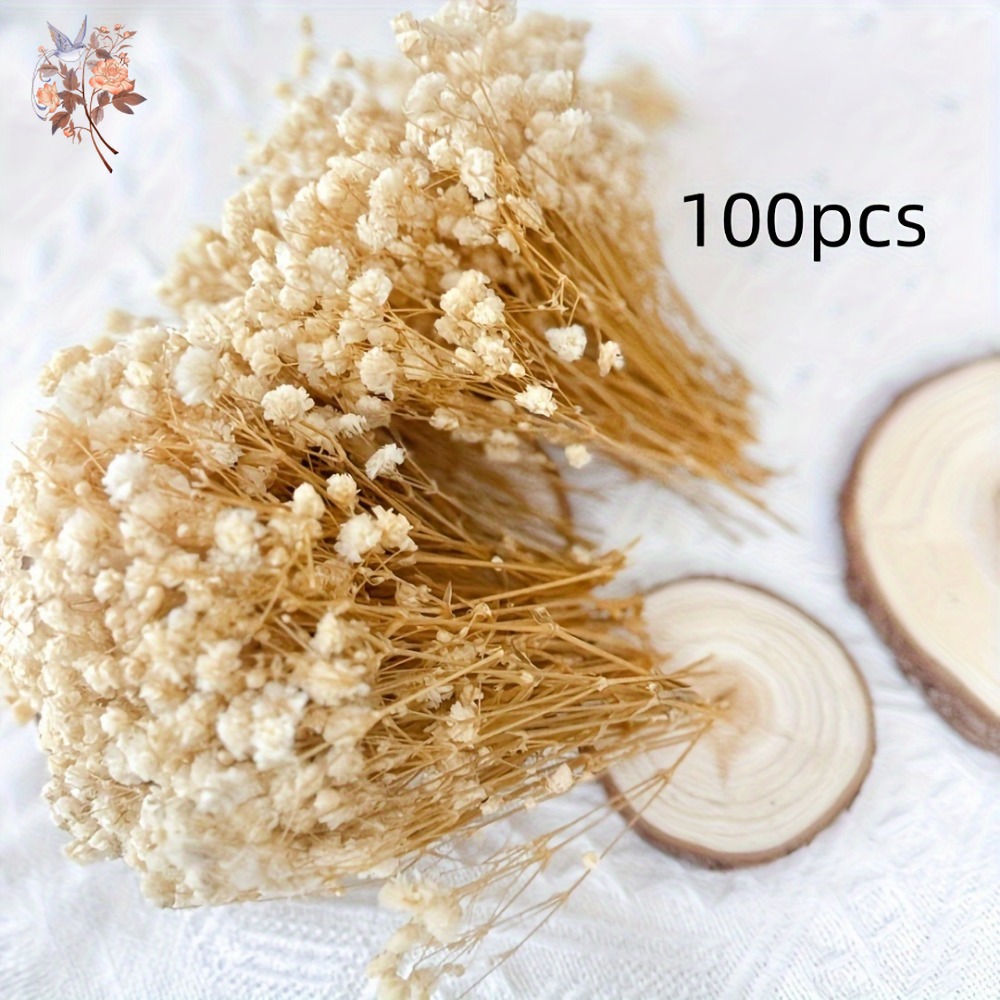 100pcs Mini Dried Baby's Breat - đánh giá và giá Resin Craft Ideas